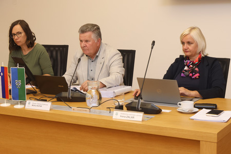 17. redna seja OS 08 Foto Ljubo Vukelič